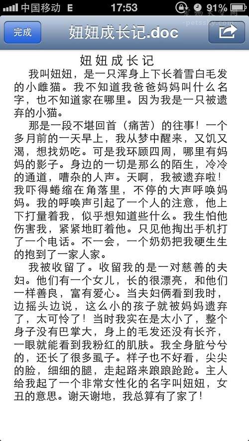 猫踩奶科普,猫在主人身上踩奶是什么意思