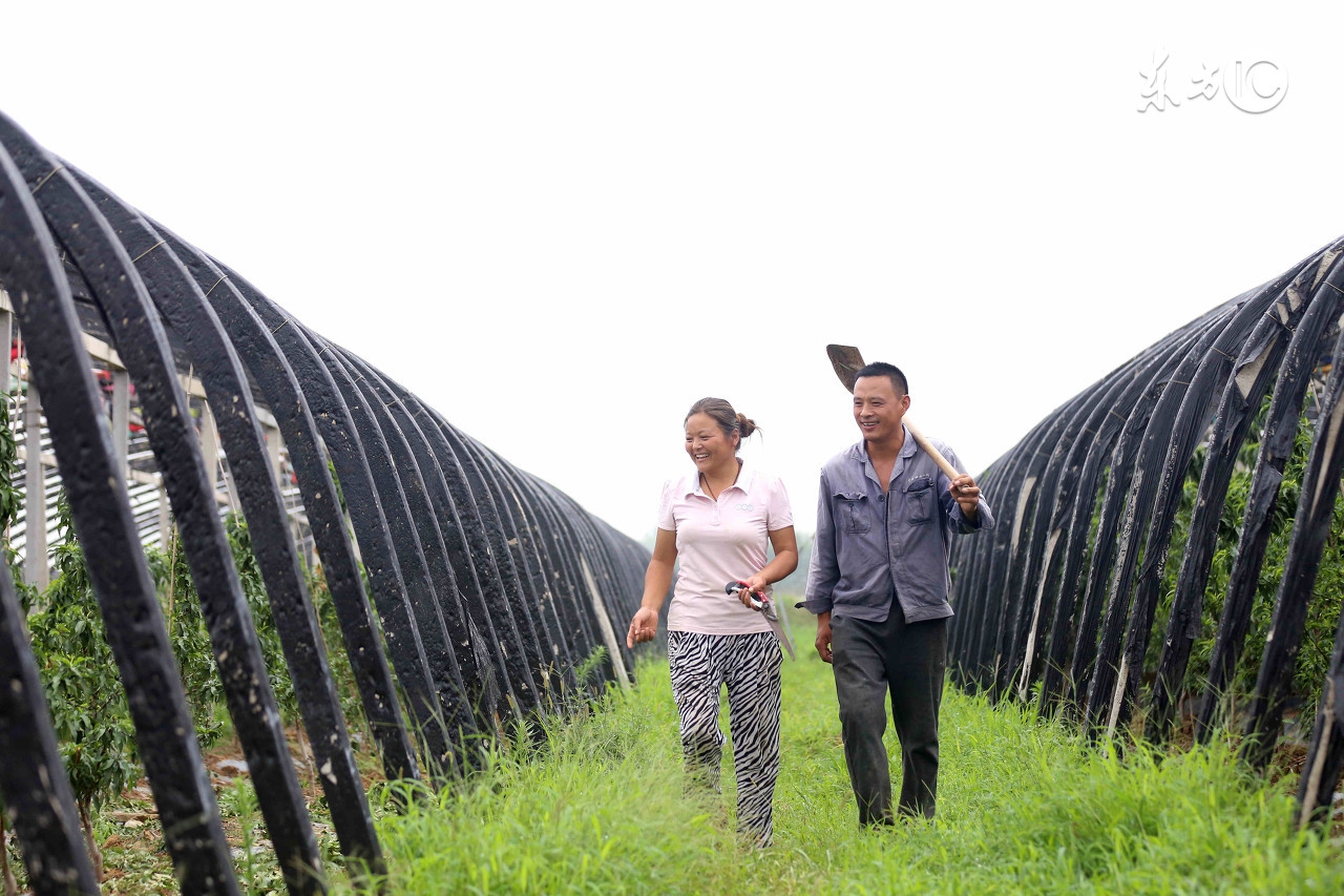 最新热门致富项目大全,致富经创业项目哪些比较真实