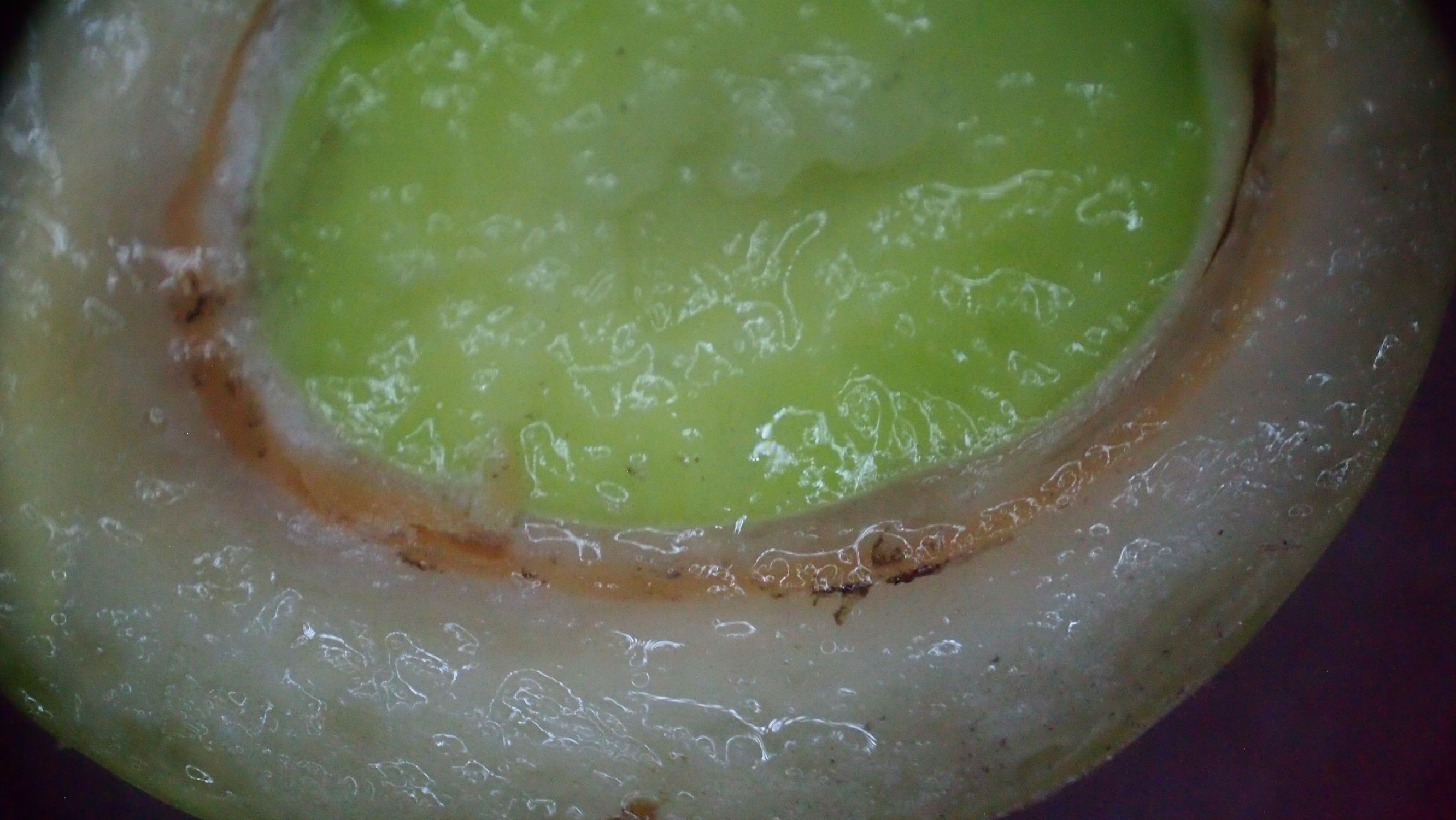 银杏白果是否有毒性,银杏树白果入药