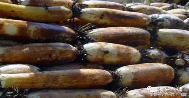 车坊，遗忘的边缘！