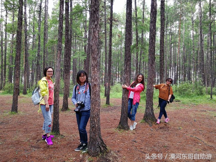 漠河市旅游包车攻略,漠河旅游包车哪里最便宜