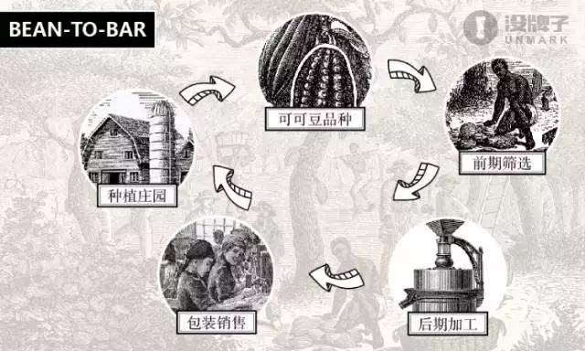 黑巧哪一款最健康好吃,口感最好的黑巧