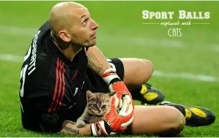 足球恶搞ps,足球的ps搞笑图