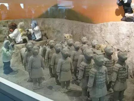 济州岛哪个泰迪熊博物馆好看,韩国济州岛泰迪熊博物馆门票