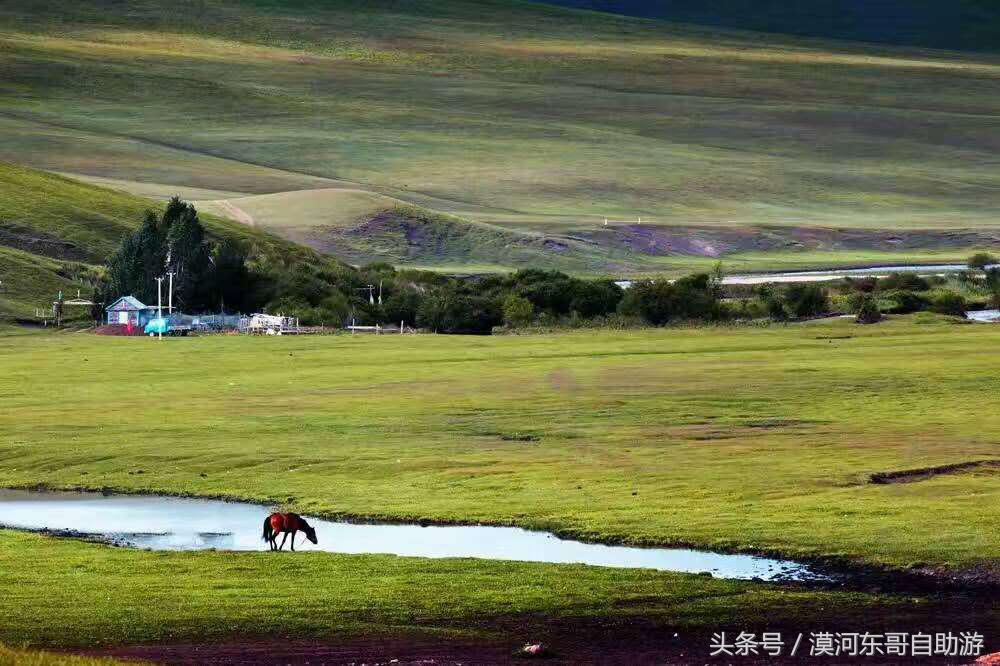 呼伦贝尔漠河旅游攻略夏季,呼伦贝尔漠河环线自由行