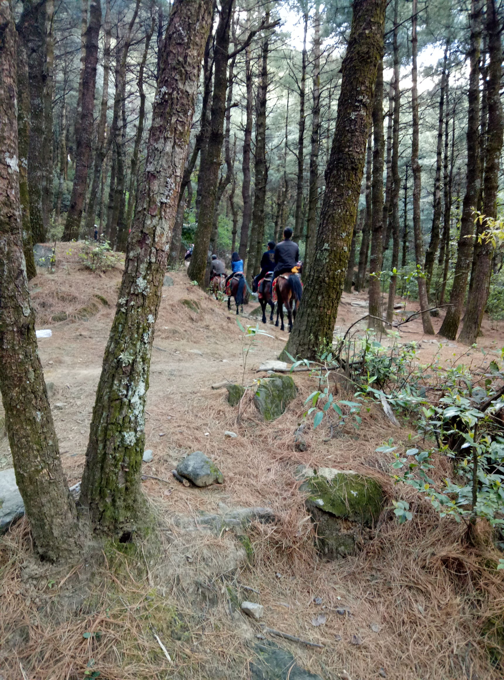 大理苍山的景色介绍,大理苍山上面的景色