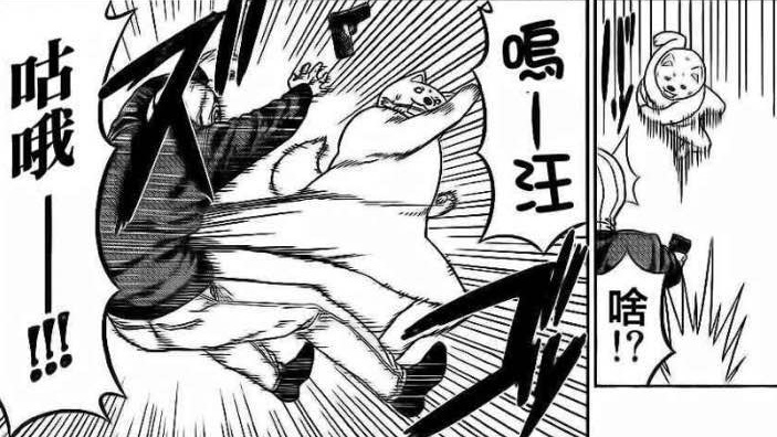 《笨女孩》被一个笨蛋带坏的小镇,唯独这条狗全面过人