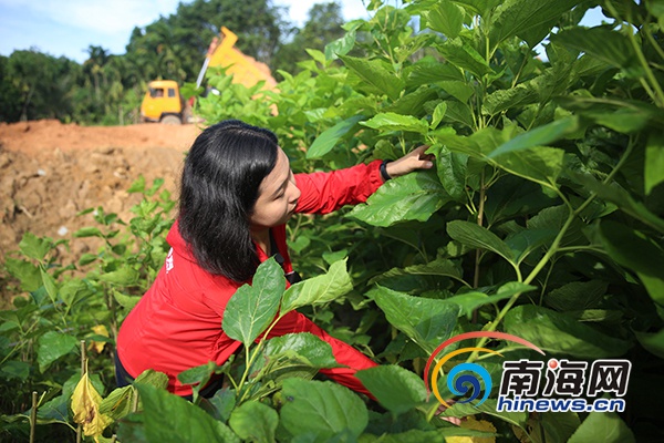 驻村生活vlog,农村驻村扶贫vlog