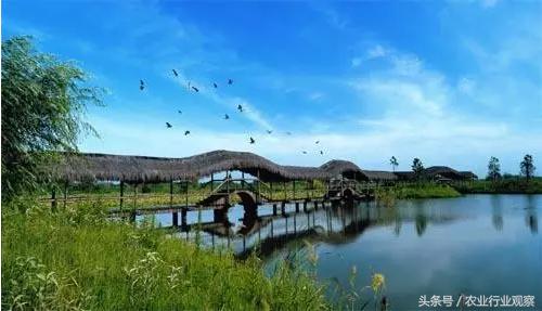 生态循环农业如何控制利润,现代农业六种盈利模式