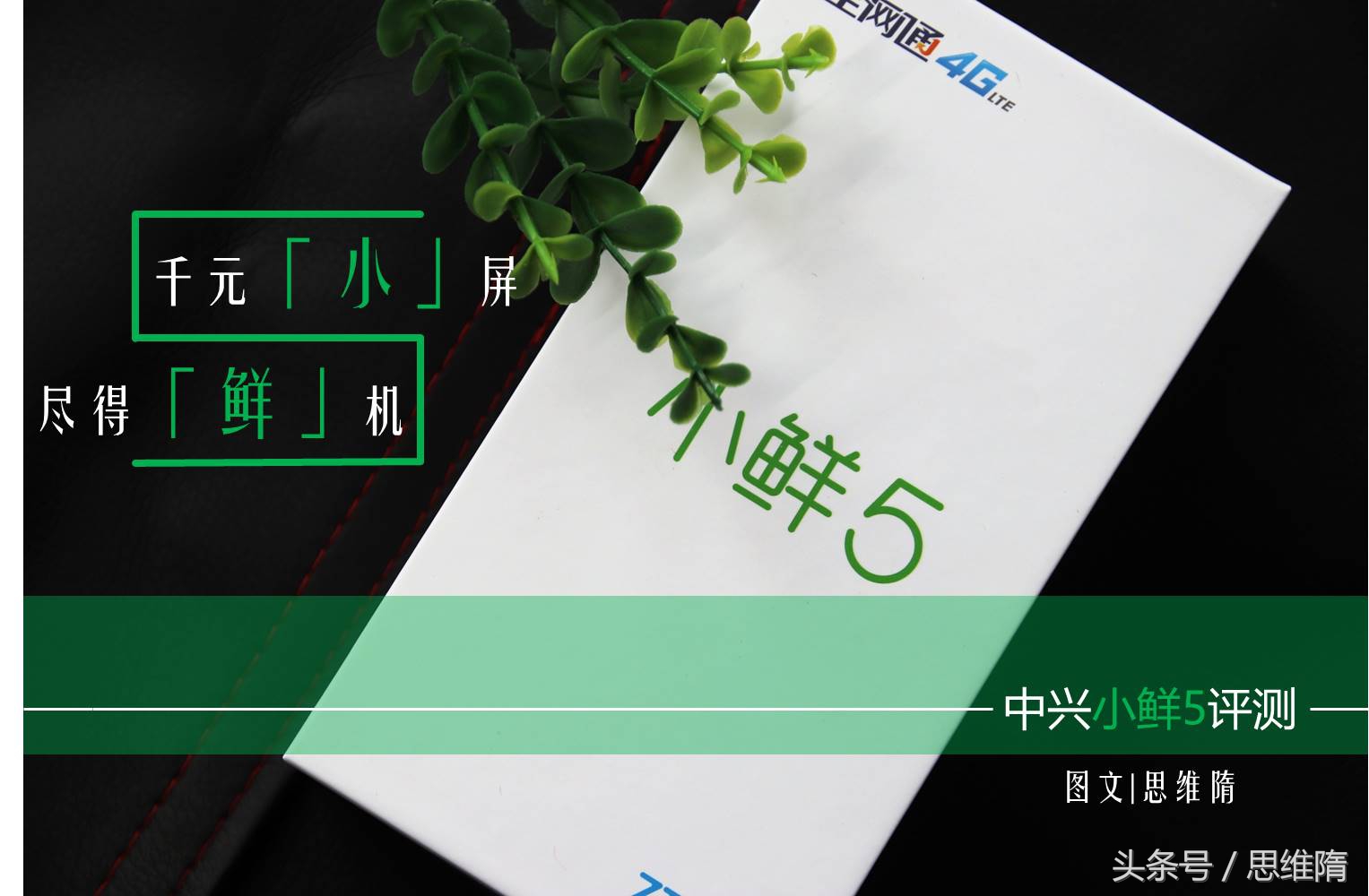 中兴小鲜5配置大曝光,中兴小鲜5测评