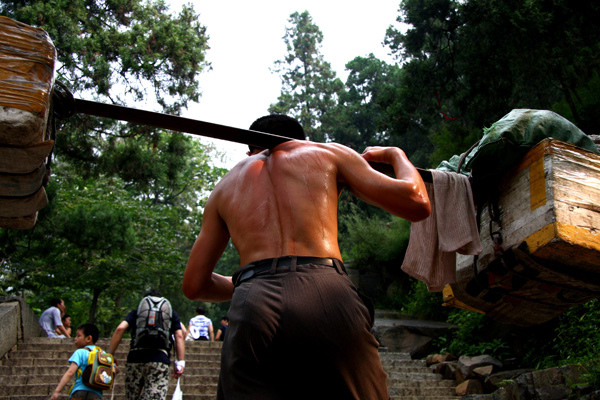 这个动物的尾巴补气之功可与人参媲美，还可以益肾精！