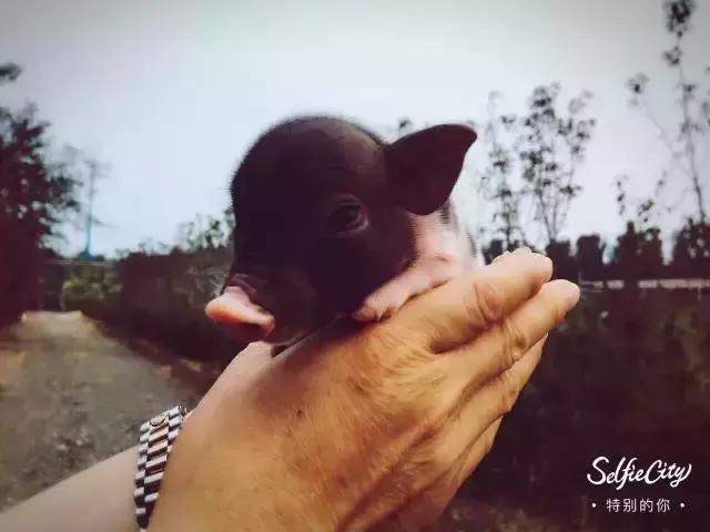 玩转怀柔丨无“水”不夏天,怀柔让你嗨翻天~