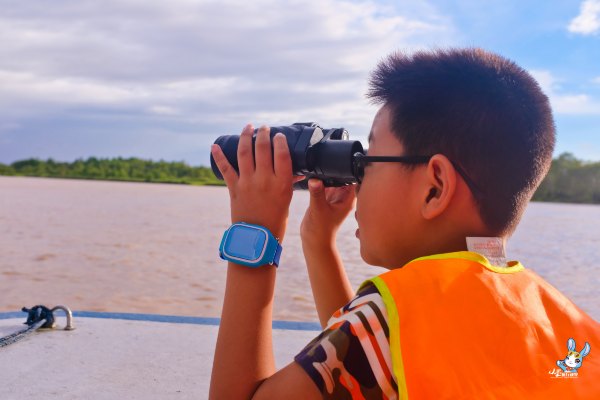 探寻野生动物,野生长鼻猴