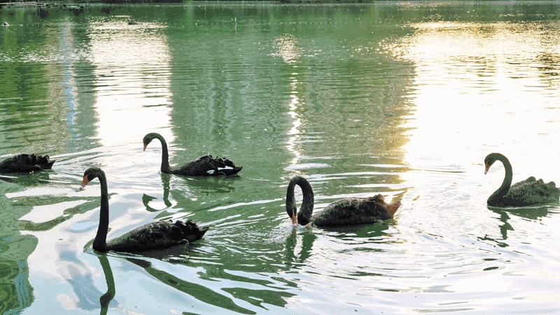 到成都必点的夜宵,一起去成都必打卡的地道馆子