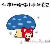 日本求职者面试,日本面试官常问的问题