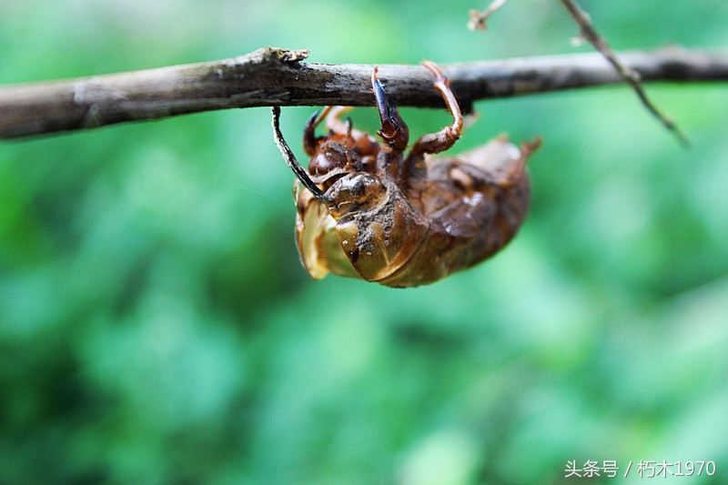东营市摄影团购,摄影广饶
