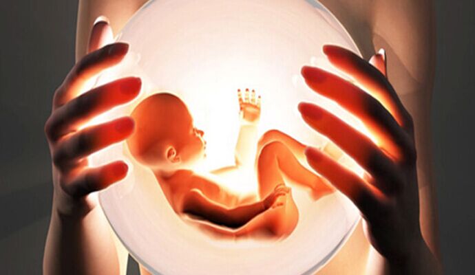 “高龄卵子”能年轻化吗？快来看，这里有高招！