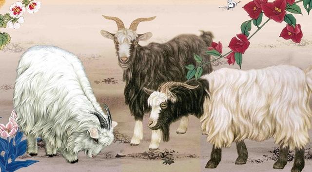 北京人为什么相亲成功率高,北京人为什么忌讳娶属羊的女人