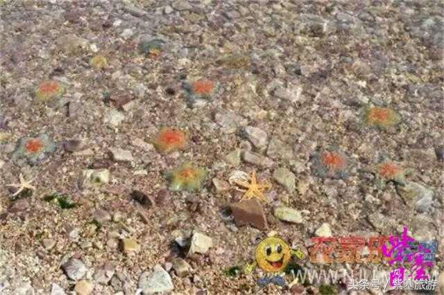 京津冀农家院详细攻略,紫塞大钦岛伟浩渔家乐