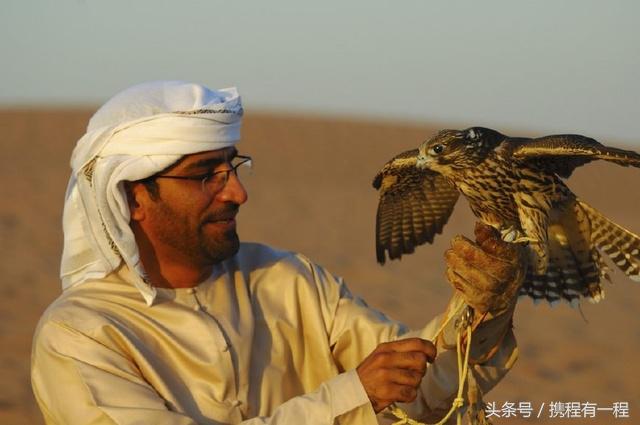 王思聪可以带狗上飞机吗 (王思聪飞机可以带狗吗)