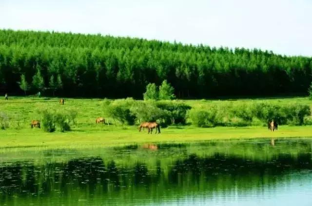 承德市启动绿色引擎增强发展动力,承德市绿色发展的生态效益