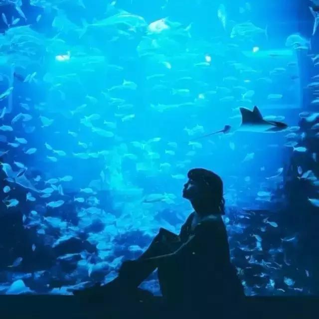 面部表情尴尬僵硬不自然怎么拍照,一拍照肢体就僵硬就尴尬