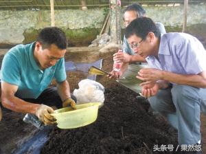 猪粪的环保处理技术,猪粪怎么处理不污染