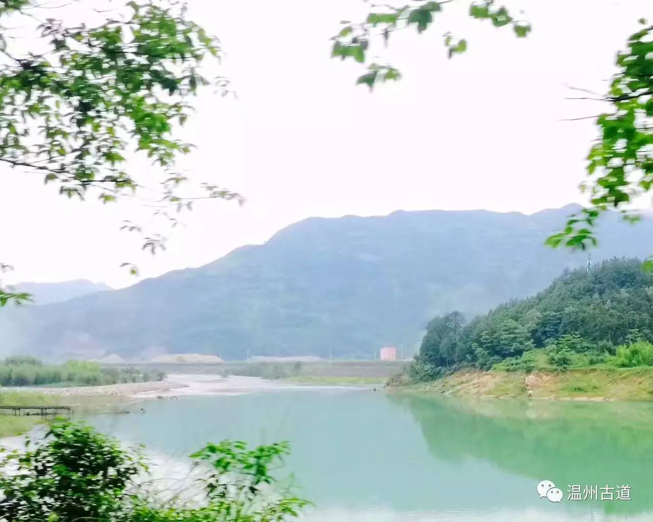 文成县珊溪水库地图,正宗文成珊溪水库有机鱼