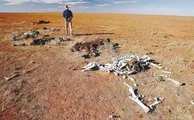 巴山蜀水包括哪些,巴山蜀水的特点