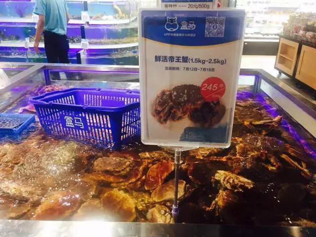 听说马云开了家作妖儿的水族馆，全城的大人都带着小孩冲过去了