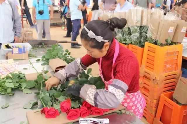 云南花海之行,云南花海基地旅游攻略