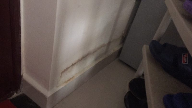 照着这些办法补救，你家房子也能50年不再返潮、发霉、起皮