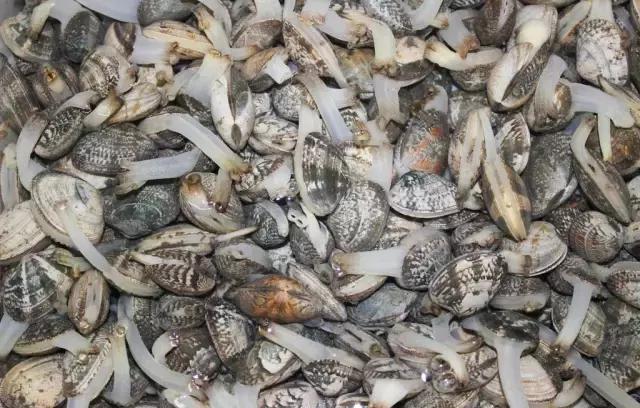 分得清才能拎得清,分得清