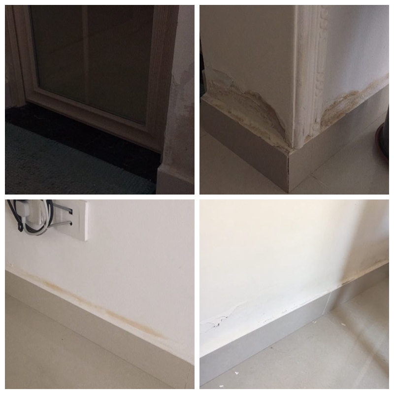 照着这些办法补救，你家房子也能50年不再返潮、发霉、起皮