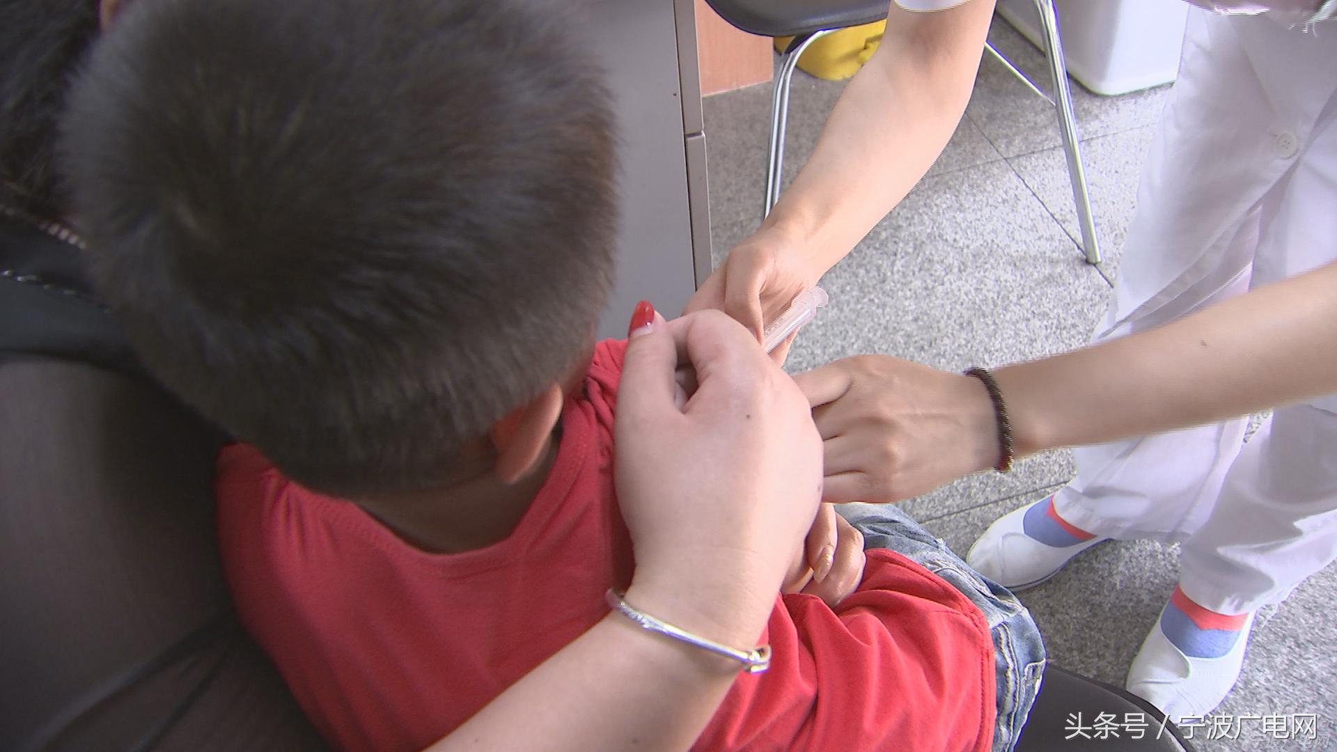 高温天谨防宠物中暑,宁波24小时犬伤门诊