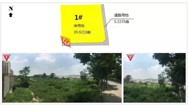 双流东升土地规划,双流东升地块拍卖