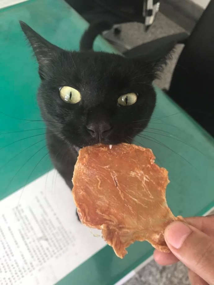 橘猫奇怪睡姿,橘猫睡了一觉