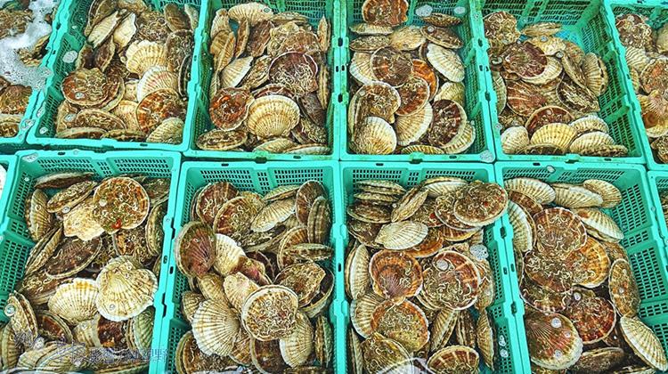 北海道函馆美铃咖啡,日本北海道函馆简介