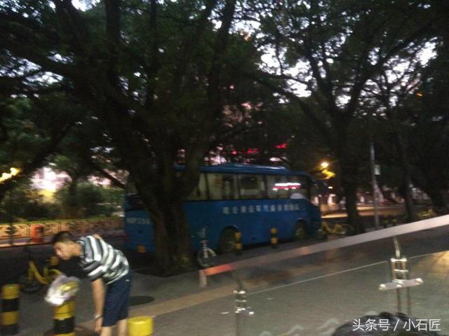 长隆野生动物园在哪,长隆野生动物园表演