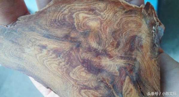 崖柏黑油料是怎么形成的,崖柏红油料好还是黑油好