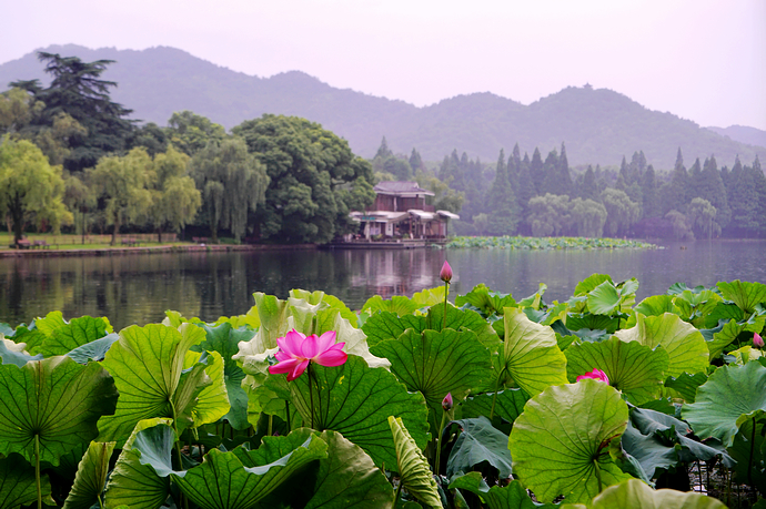 杭州西湖低奢度假村,浙江杭州西湖旅游风景度假区