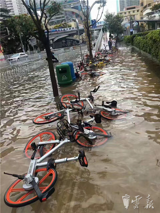 鏆撮洦琚煄韬奖瑙嗛,鏆撮洦琚煄杞﹁締琛屼汉瑙嗛