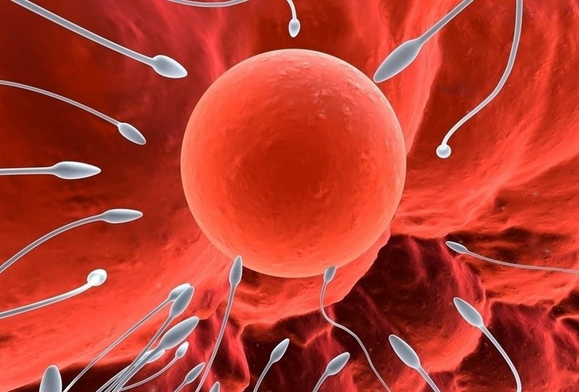 40岁的女性能排出“20岁的卵子”？做到这4点，完全可以！