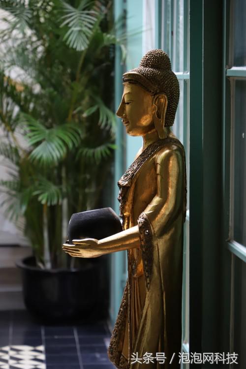 佳能6dmark2的标准参数,入门全画幅佳能6d