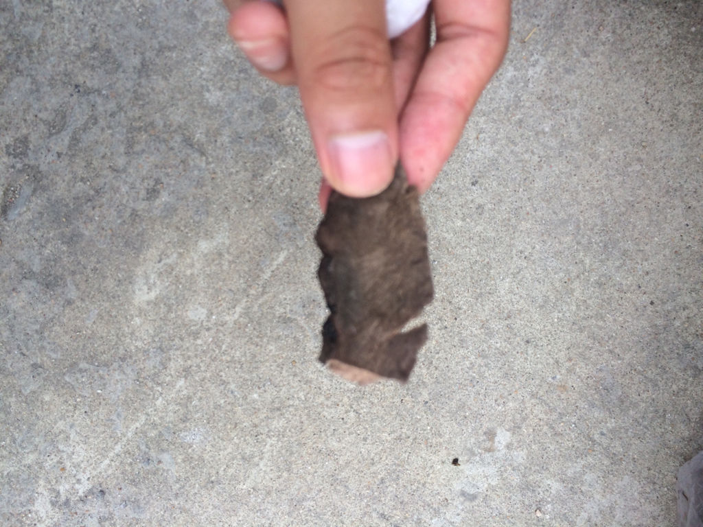 来自身边的“翔”,得知后你都可以做《女医》了!