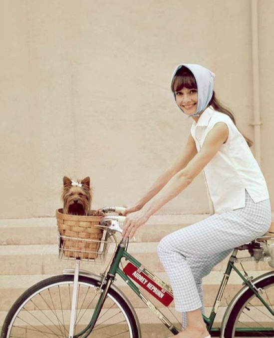 赫本和玛丽莲梦露谁更好看,凭啥让赫本和梦露都如此迷恋