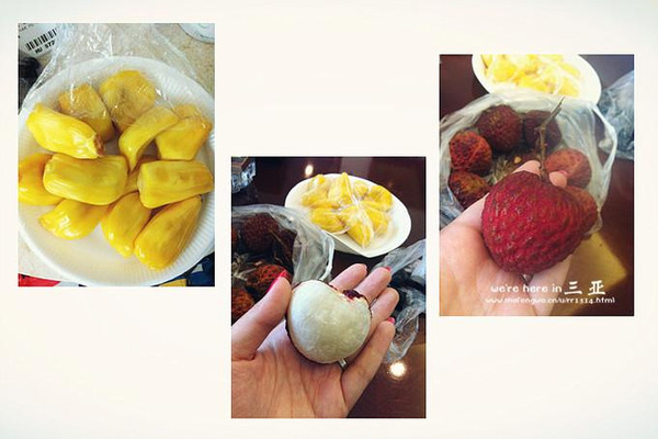 三亚五天四晚旅行团爱上海岛,三亚3天两晚够不够