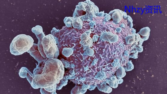英国最新治癌药,英国宣称发现新疗法