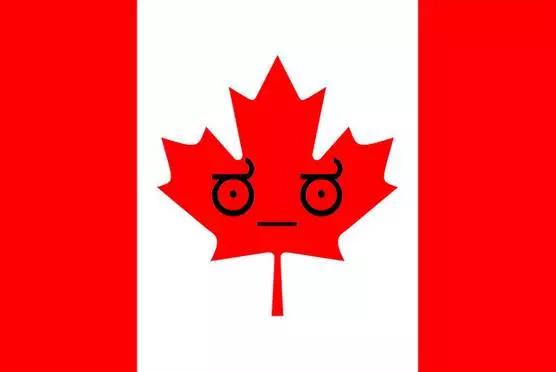 美国人疯了。。直接把加拿大移民局官网搞瘫痪！