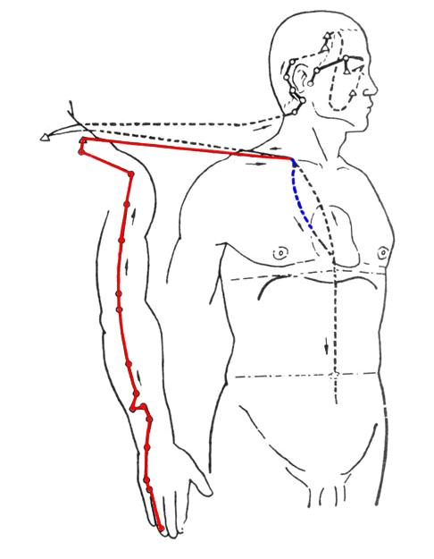 人体经络运行图详解视频,经络穴位运行图